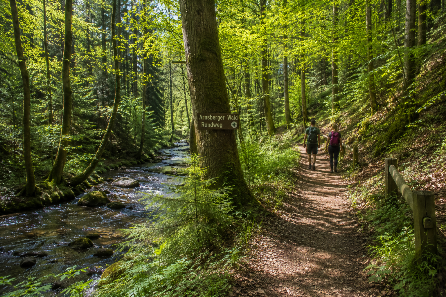 Arnsberger Wald