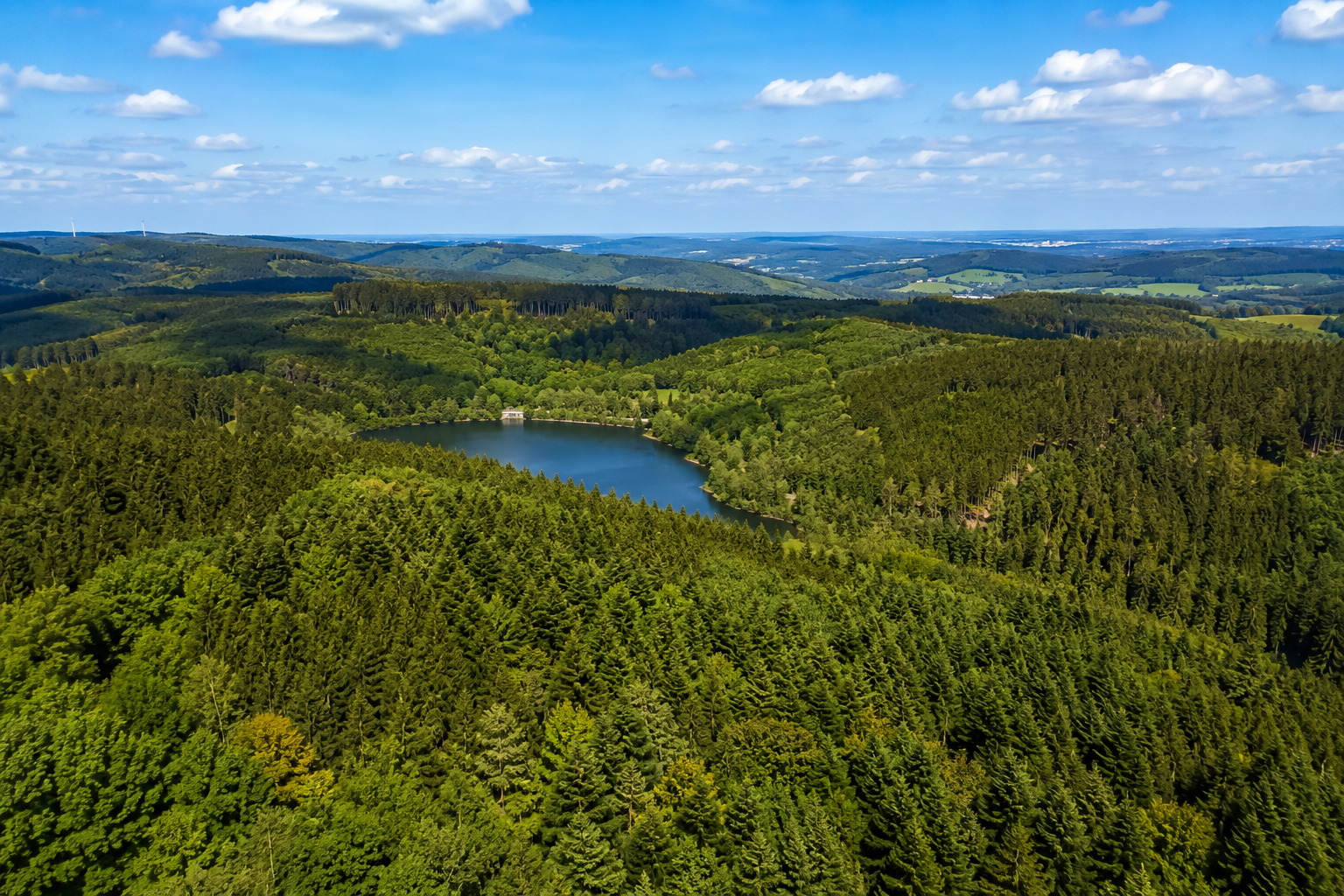 Arnsberger Wald